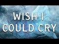 Citizen Soldier x @Halocene  Wish I Could Cry  (Official Lyric Video)