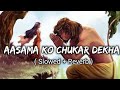 Aasma Ko Chukar dekha - ( Slowed + Reverb ) | Return of Hanuman | Animation |
