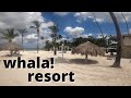 Boca Chica Resort Tour - whala!