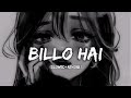 Billo Hai (Slowed & Reverb) | Parchi | Bazel Awan