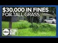 Florida man fined $30k for tall grass settles with Dunedin following yearslong legal battle