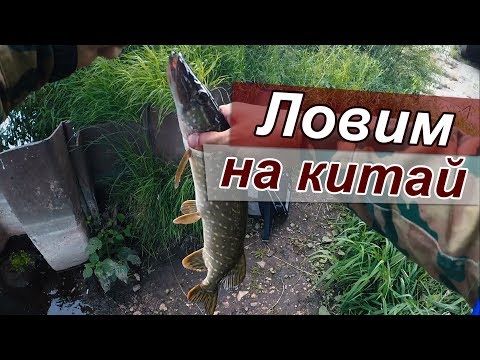время ловли щуки и окуня время ловли щуки и окуня