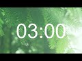 3 Min Timer music bird, relax music with nature sounds in the forest for work and study