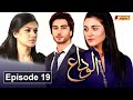 Alvida | Episode 19 | Pashto Drama Serial | HUM Pashto 1