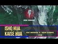 Ishq Hua Kaise Hua | Duet - Udit Narayan  &  Vibha Sharma,  Ishq ( Home Karaoke )