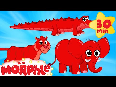 Cute Scary Animal Videos With Morphle My Pet Tiger My Pet Crocodile My Pet Elephant