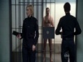 Rookie Blue Good Life