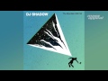 "Nobody Speak" feat. Run The Jewels - DJ Shadow (The Mountain Will Fall) [HQ Audio]