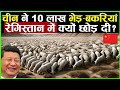 चीन ने 10 लाख भेड़-बकरियां रेगिस्तान में क्यों छोड़ दी? | China Secretly Left 300,000 Sheep in Desert