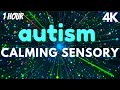 Autism Calming Sensory Meltdown Remedy Soothing Visuals