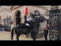 POLICE AND GUARD ARE SHOCKED WHEN THE HORSE has enough and wanders off at Horse Guards!