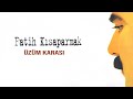 Fatih Kısaparmak - Üzüm Karası - (Official Audio)