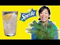 How To Make Sprite From PINE NEEDLES | Pine Needle Soda