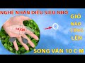 How to make a 10CM Song Van Kite Simple for Everyone | An Ba Tet