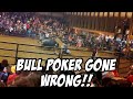 Bull Poker Fox Hallow rodeo | ‘Border Patrol’ goes wild
