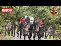 CID Team कैसे बचाएंगी देश को इन Zombie से || CID | TV Serial Latest Episode