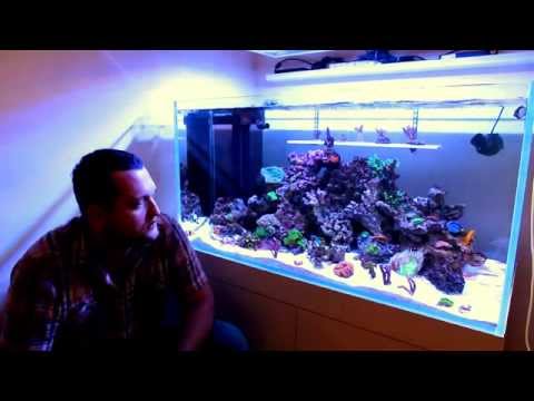 ArianReef. Риф своими руками. Дисплей. Перелив. - Global News Feeds @ Feedaround.com