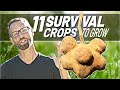 11 Crops to Grow To Survive Difficult Times!