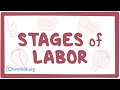 Stages of labor - physiology