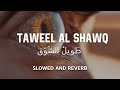 Taweel Al Shawq | Slowed + Reverb 💙
