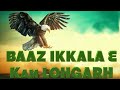 Eh BAAZ Ikkala Hai (ਇਹ ਬਾਜ਼ ਇਕੱਲਾ ਹੈ ਇਸਦੇ ਮਗਰ ਨੇ ਬਹੁਤ ਸ਼ਿਕਾਰੀ ) - KAM LOHGARH & Ladhubhanie