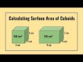 Calculating the Surface Area of Cuboids