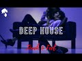 Gentleman - Deep House Mix [Touch & Feel Vol.7]