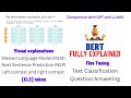 BERT explained: Training, Inference,  BERT vs GPT/LLamA, Fine tuning, [CLS] token