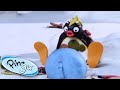 Stinky Pingu | Pingu Official | Cartoons for Kids