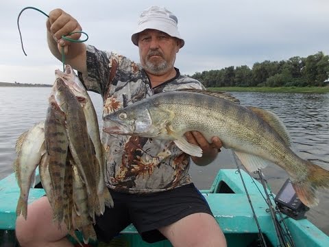 ловля судака на джиг с лодки видео 2016 года на ахтубе ловля судака на джиг с лодки видео 2016 года на ахтубе