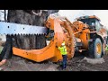Incredible Heavy Duty Tree Cutting Harvester Equipment Working, Fastest Whole Tree Shearing Chipper