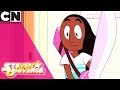 Steven Universe | Looking After Steven's House | Cartoon Network