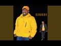 Xigodi (feat. DJ Slikour)