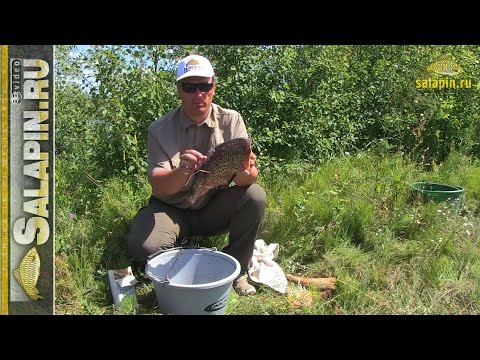 ловля лещей в жару ловля лещей в жару
