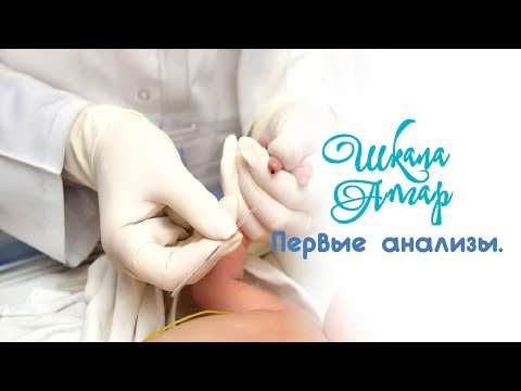 Санаторий "Жосалы" Каркаралинск Гостиницы Каркаралинск Роддома. ру. Юдаев Дмитрий Павлович