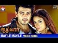 Aalwar Tamil Movie Songs HD | Mayile Mayile Song | Ajith | Asin | Srikanth Deva | Manorama | Vivek