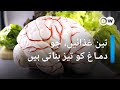 یہ تین غذائیں کھائیں، دماغ کو تیز بنائیں | DW Urdu
