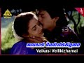 Rasa Magan Movie Songs | Vaikasi Vellikizhamai Video Song | Prashanth | Sivaranjani | Ilaiyaraaja