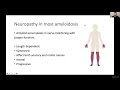 Peripheral and Autonomic Neuropathy in ATTR Amyloidosis