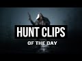 Hunt Clips of the day | 25.04.2024