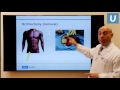 Testicular Cancer: What You Really Need to Know | Mark Litwin, MD, MPH | UCLAMDChat
