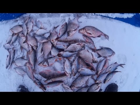 фото с рыбалки на яузском водохранилище фото с рыбалки на яузском водохранилище