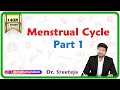 Menstrual Cycle - Part 1