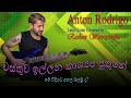 Wsthuwa Illana [වස්තුව ඉල්ලන කාශ්‍යප පුතුනේ]Anton Rodrigo. Lead Guitar Covered by Roshan Weerasinghe