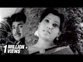 Naan Pesa Vanthen - Paalooti Valartha Kili Tamil Song