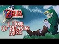 1 Hour Of Relaxing and Emotional Zelda : Ocarina Of Time Music (Studying/Relaxing/Sleep)