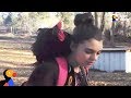 Download Rooster Meets His Favorite Girl at Her Bus Stop Every Day | The Dodo mp4 3gp mp3 videos - waplic