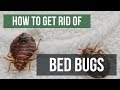 How To Get Rid of Bed Bugs Guaranteed- 4 Easy Steps