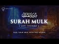 Cure Depression & Anxiety | Surah Mulk | Lofi Theme Quran | Surah Mulk Lofi With Rain #surahmulk