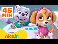 PAW Patrol Everest Rescues Skye & More Adventures! w/ Chase | 45 Minute Compilation | Nick Jr.